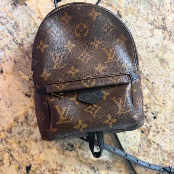 EXCELLENT Louis Vuitton Palm Springs Mini Monogram Backpack - Picture 1 of 8